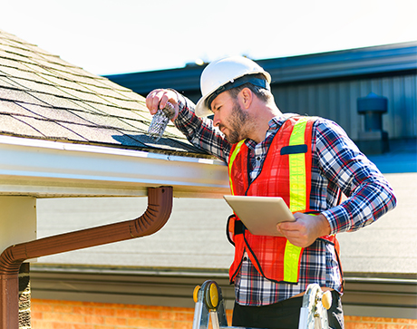 Whole Roof Inspection Services:
