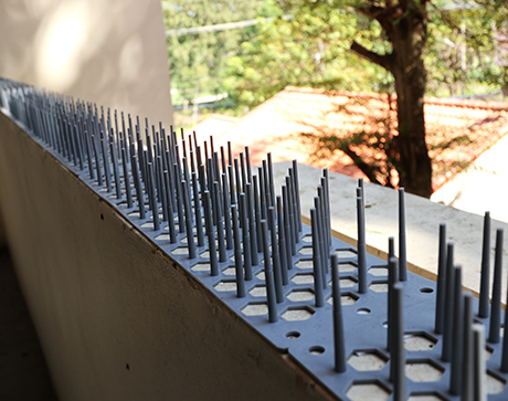 The Significance of Bird Spike Installation for Gutters