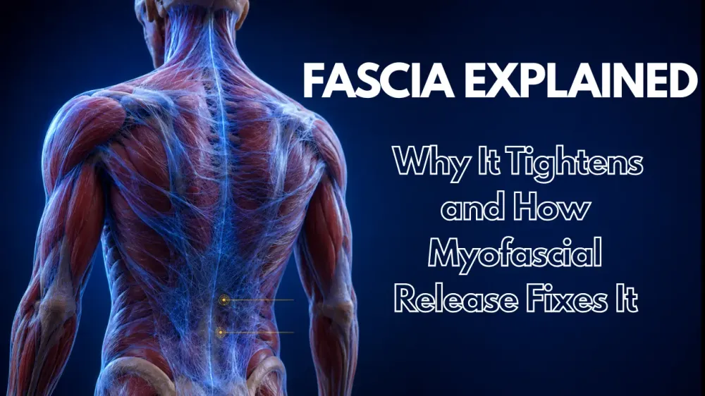 fascia-explained-myofascial-release-nyc.webp