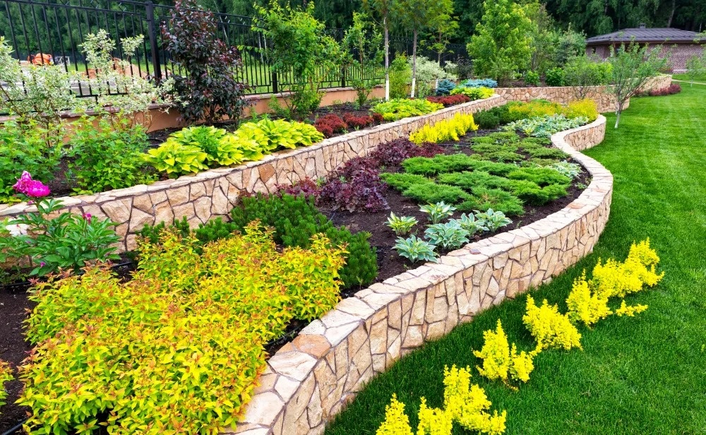 Read the blog by YardBros - Landscape Construction, Tree Care Company Vacaville, CA