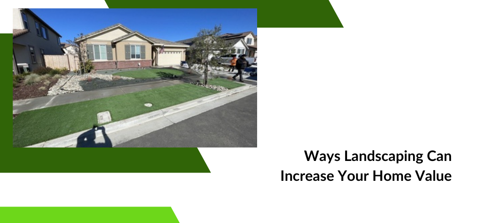 Read the blog by YardBros - Landscape Construction, Tree Care Company Vacaville, CA