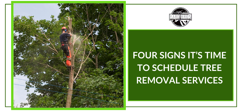 Read the blog by YardBros - Landscape Construction, Tree Care Company Vacaville, CA