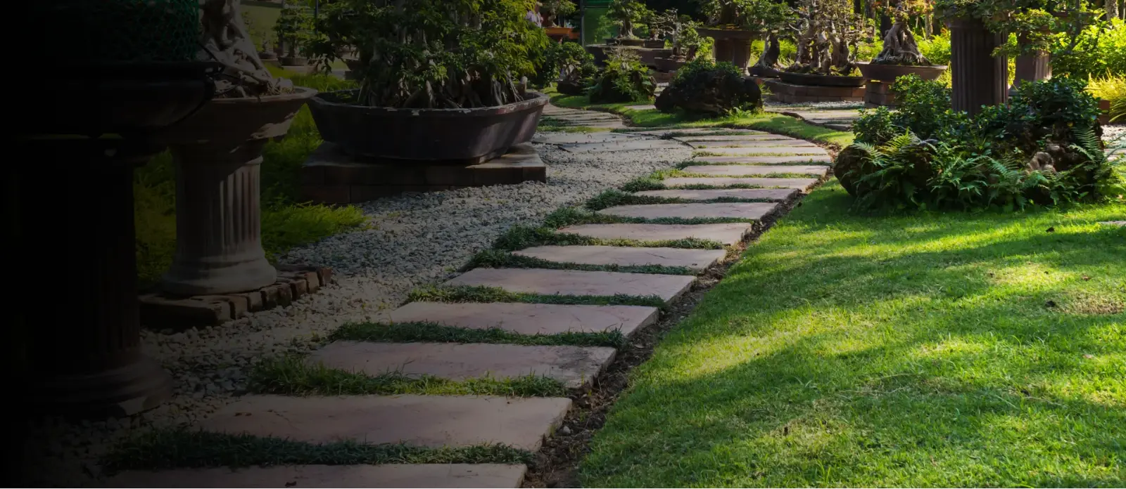 Elevate Your Landscape with YardBros's Unparalleled Landscaping and Tree Services in Vacaville