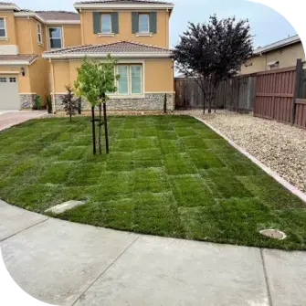 Achieve a lush and healthy lawn with YardBros professional sod installation and irrigation services