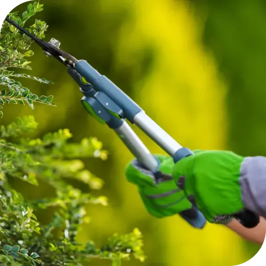 YardBros Landscaping is a leading landscape construction company and tree care company based in California