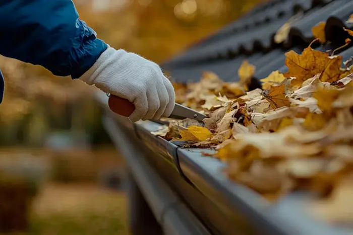 Residential Gutter Cleaning in Toledo, Ohio