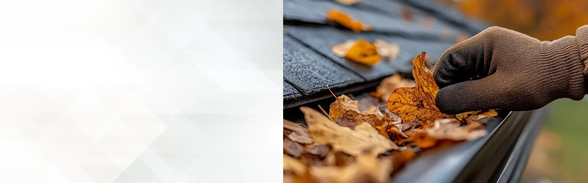 Professional gutter cleaners in Toledo Ohio