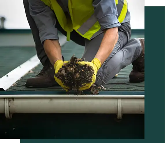 Residential gutter cleaning in Toledo Ohio