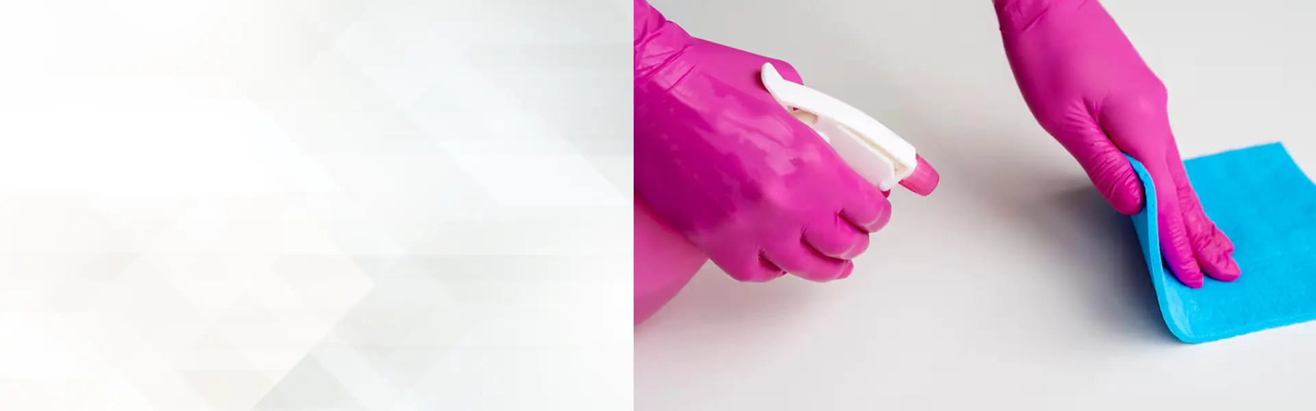 Professional window cleaner in Toledo OH