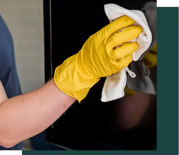 Professional window cleaner in Sylvania OH