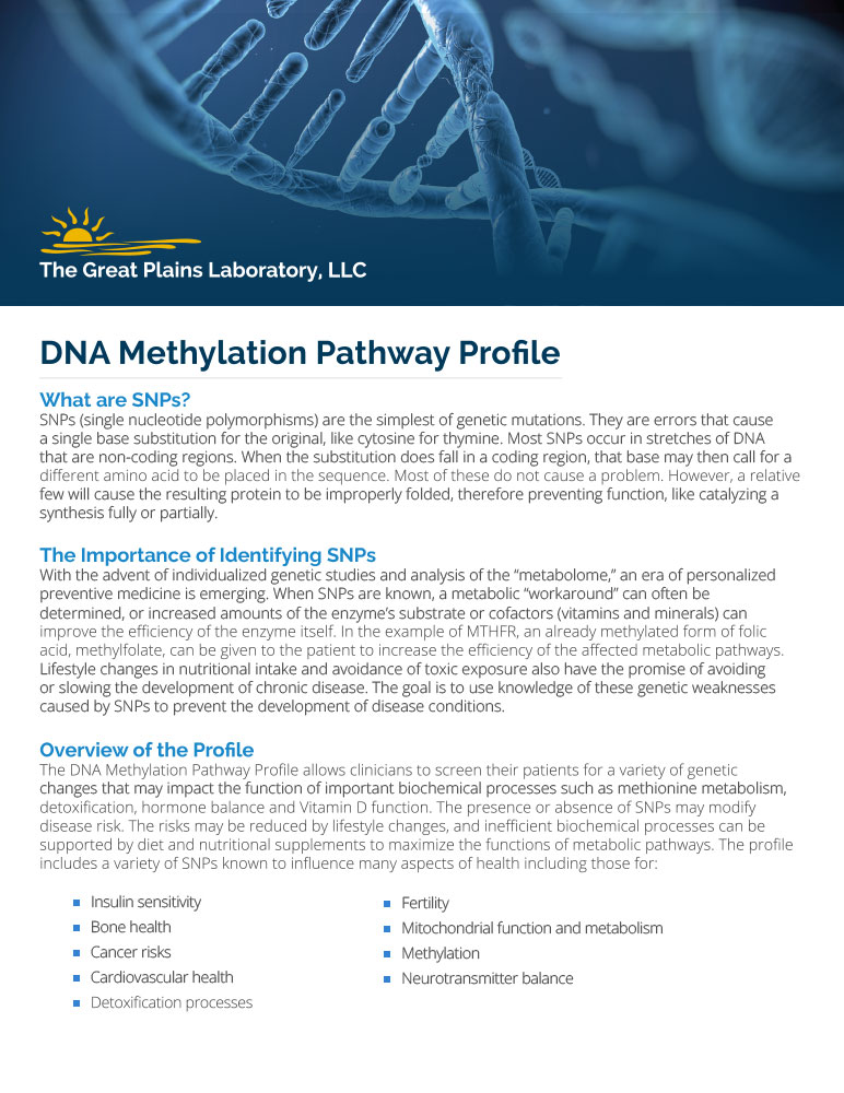DNA Methylation Profile