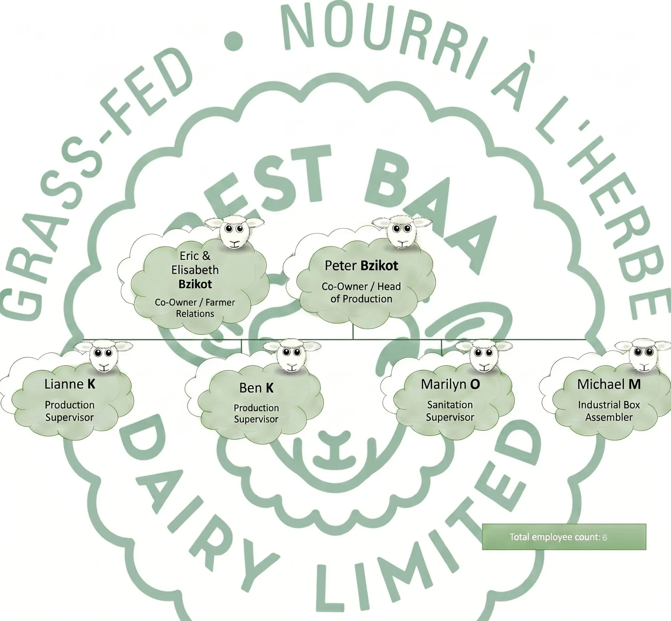 Management Organization Chart