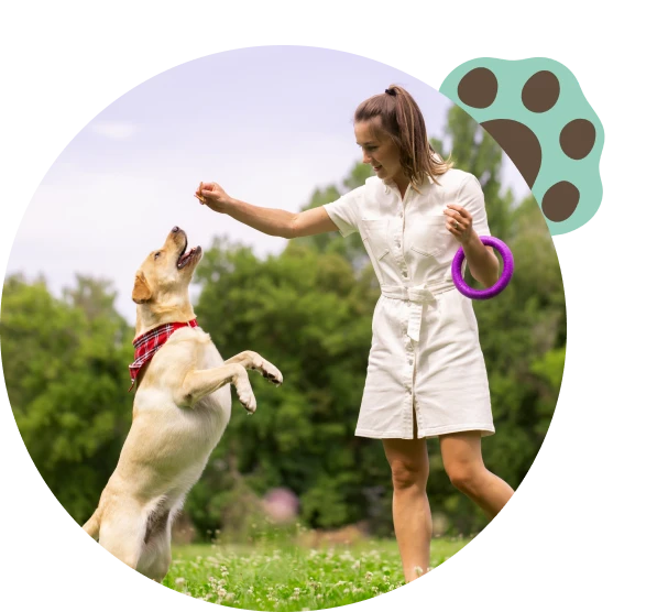 Set your puppy up for success with our specialized Puppy Training services in Grass Valley