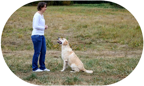 Master positive and effective Dog Training with our expert Dog Trainer, fostering a happy pup
