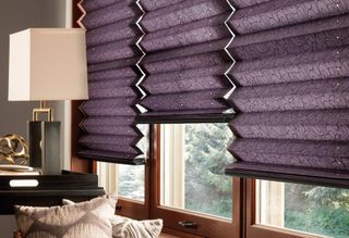 Cellular Shades (21).jpg