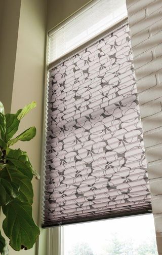 Cellular Shades (20).jpg