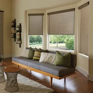 Roller Shades.webp