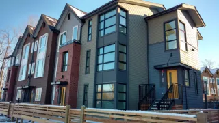 Cedar.Shingles2.webp