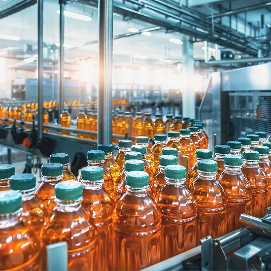 Bottle Bagging & Packaging Blow Molding Solutions