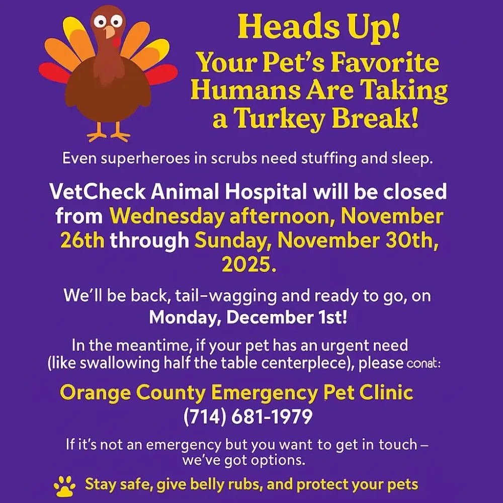 Blog by VetCheck Animal Hospital and Mobile