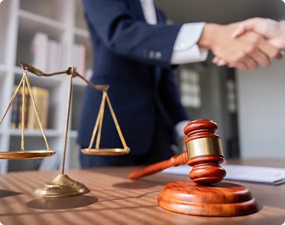 Comprehensive Legal Case Reports by Dr. Gonzalez