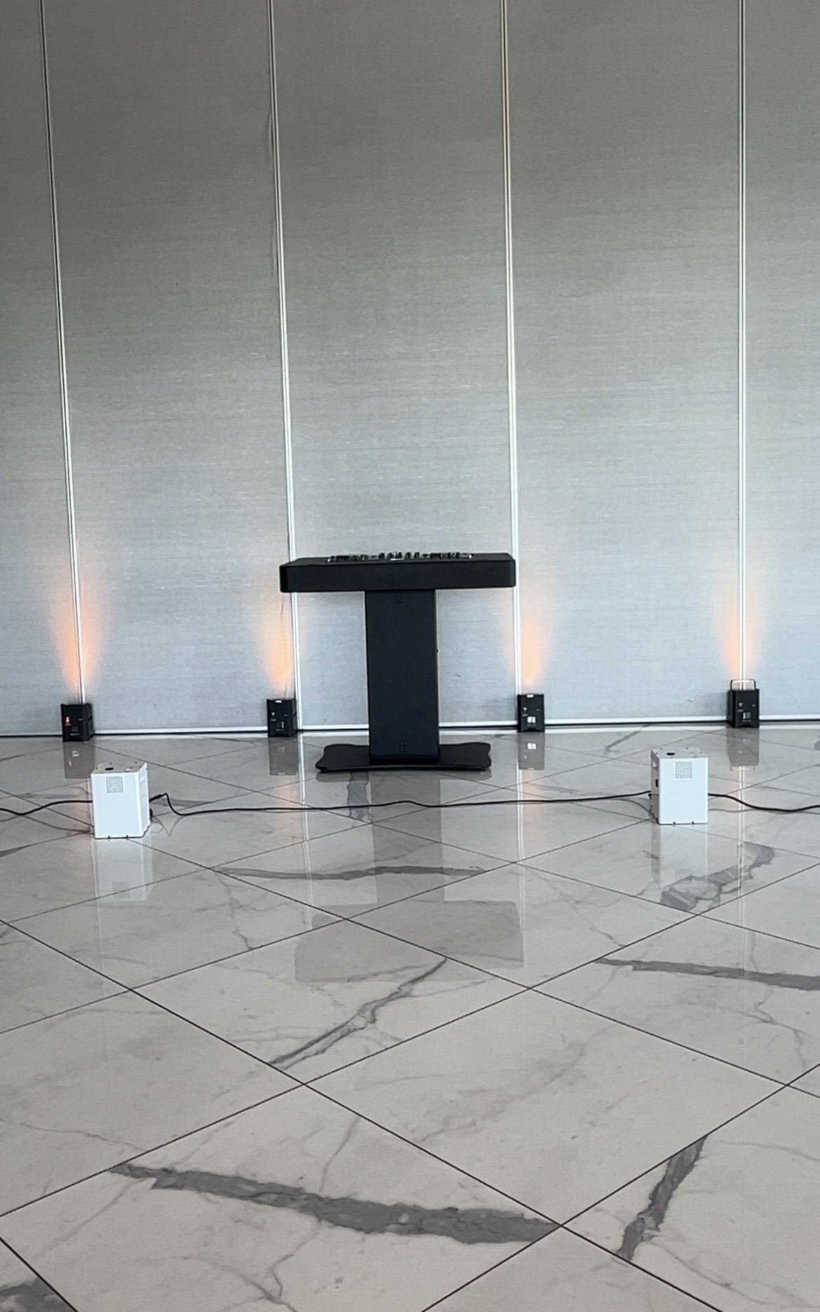 Custom monogram lighting projection on venue wall