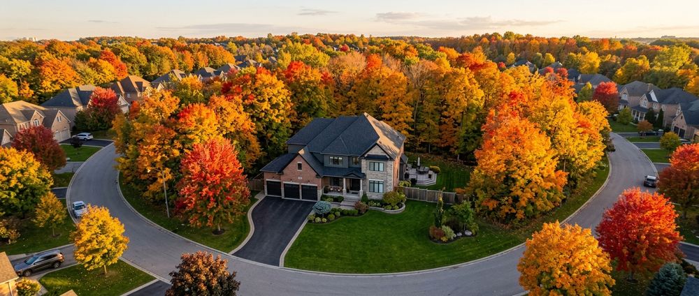 The Listing Lens by WylieFord.com