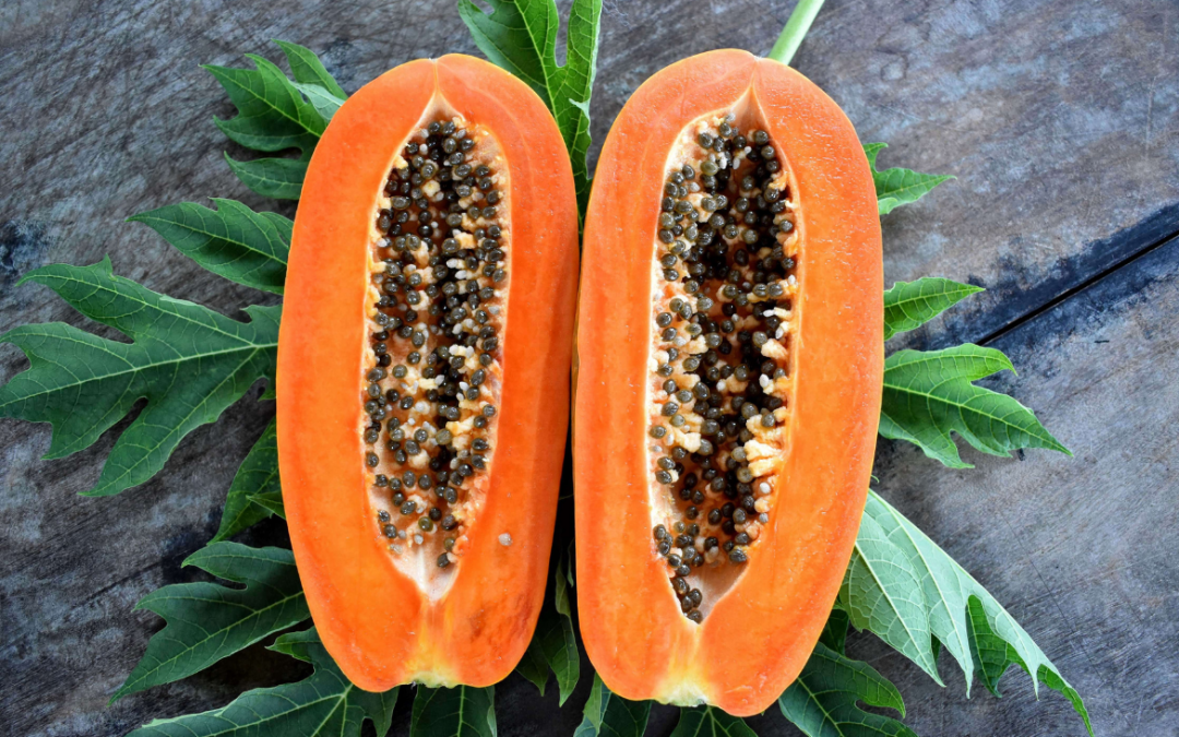 Papaya Seeds