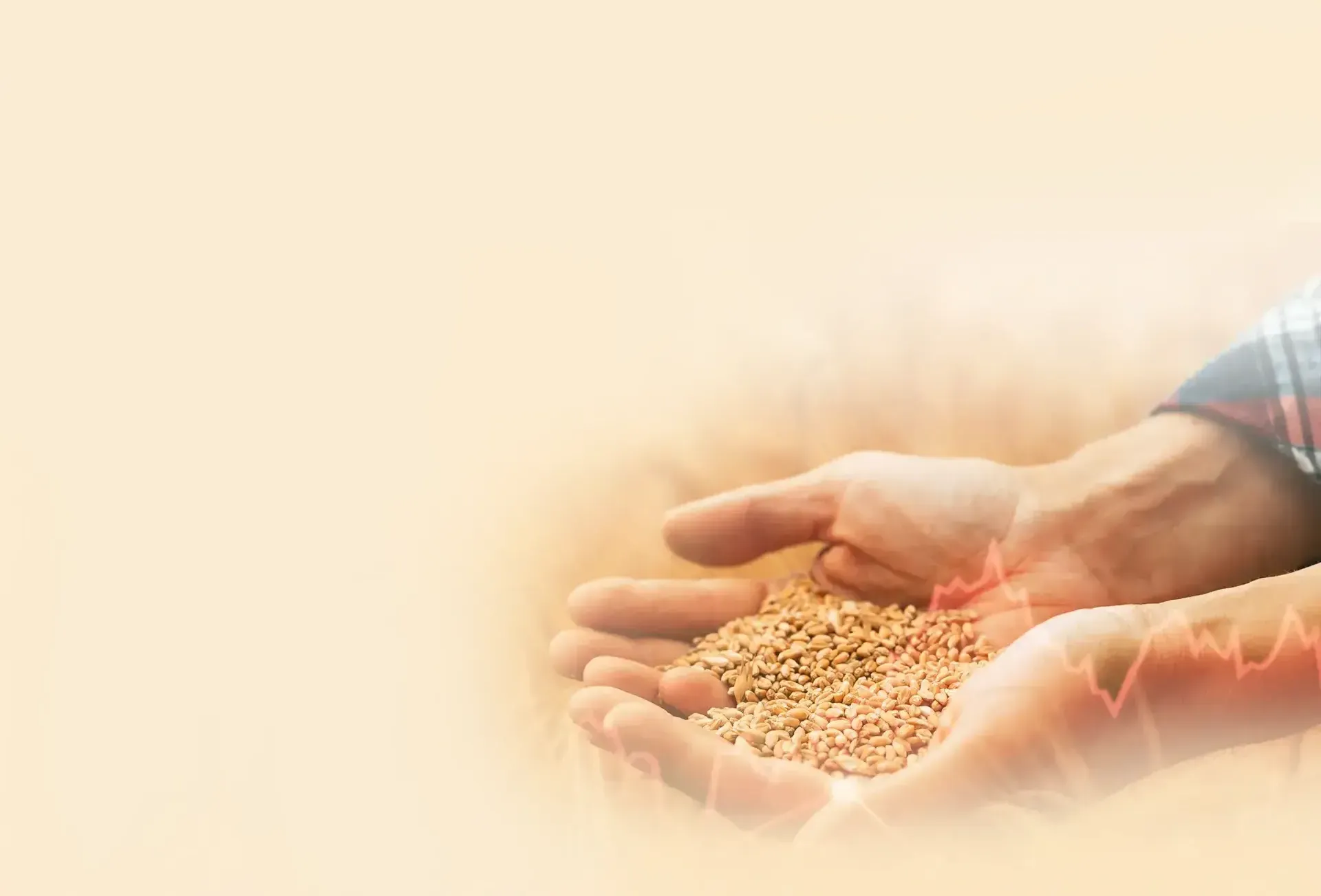 Agricultural Marketing Solutions