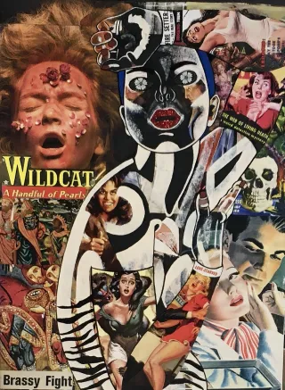 Wildcat.webp