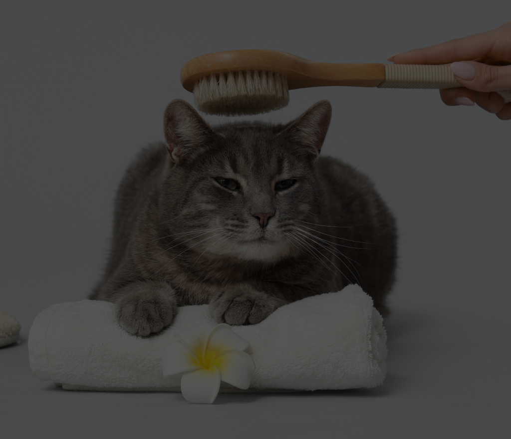 Pet Grooming Services
