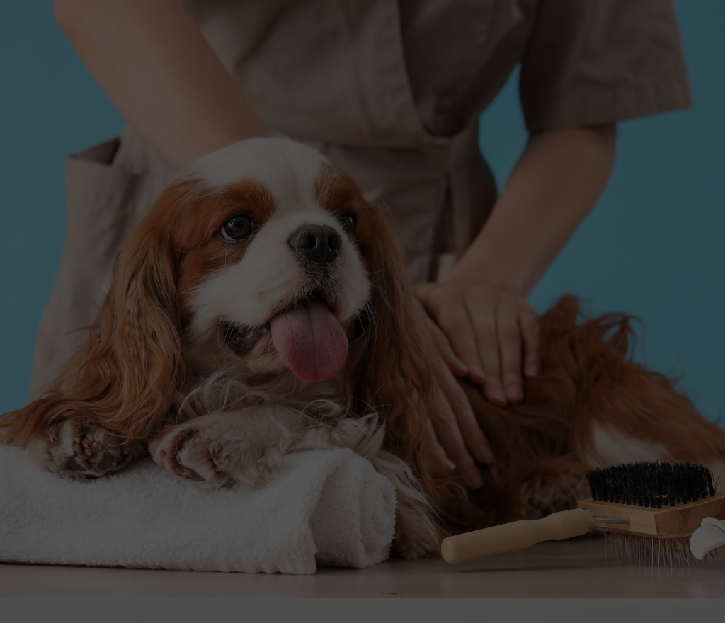 Pet Grooming Services