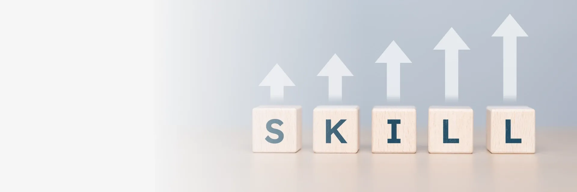 US Skills Training