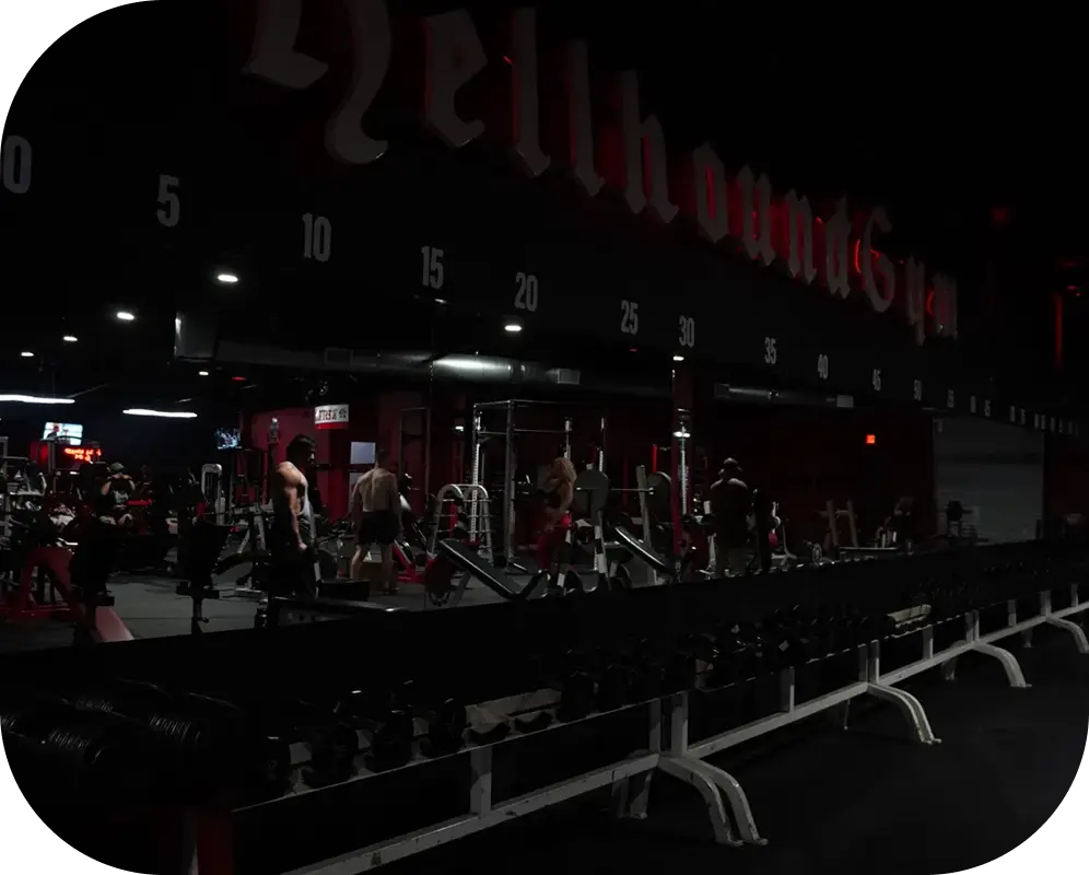 What to Expect From Personal Training Sessions