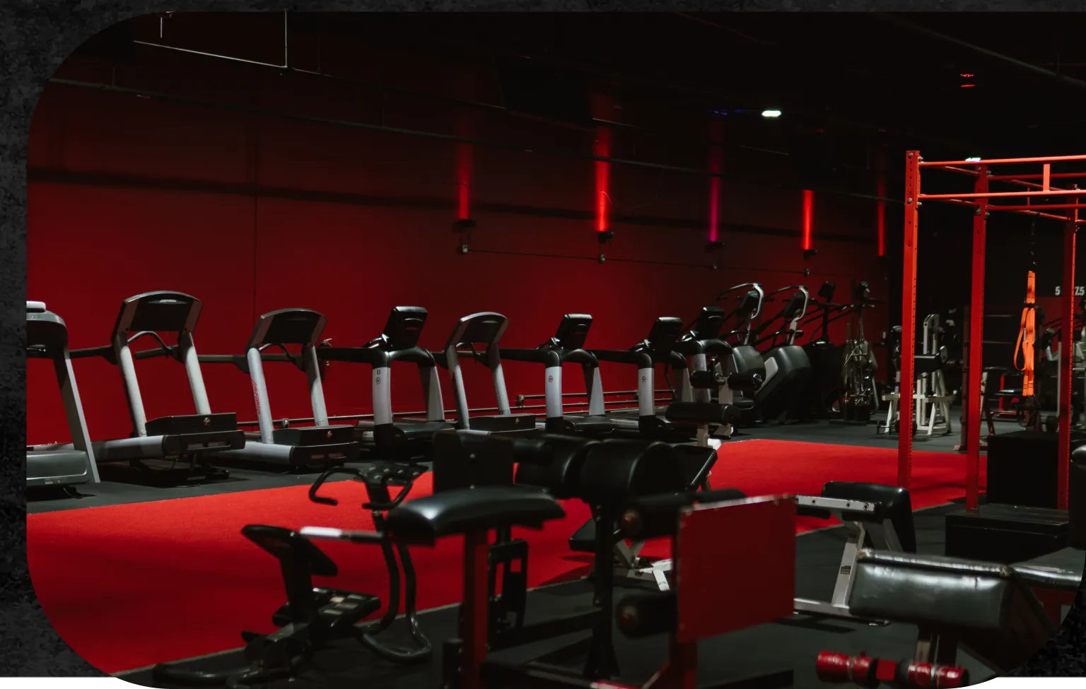 Personal Trainer Humble
