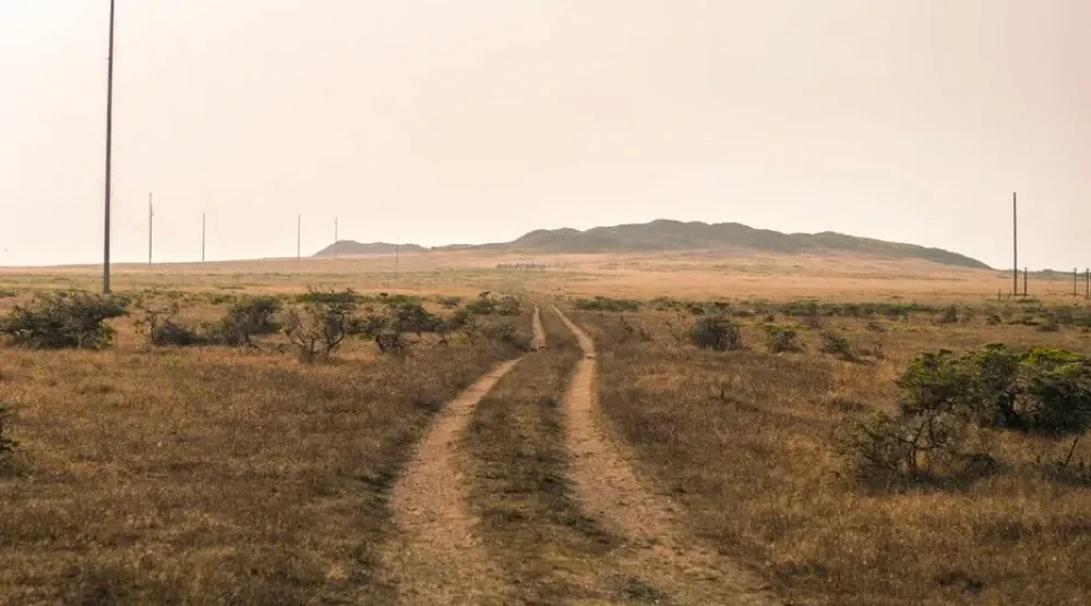 Enjoy the Country Air.webp