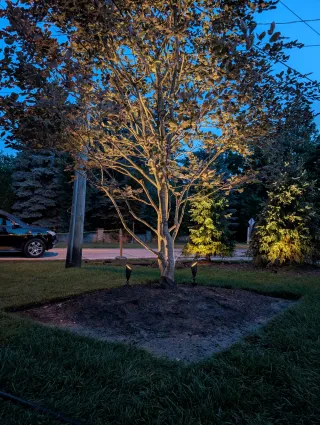 20250724_011307096.webp