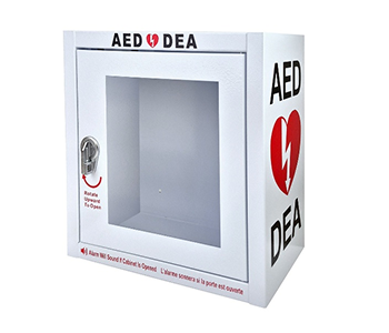 Wall Cabinet with alarm