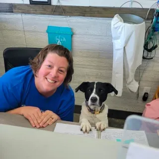 Dog Groomers Kansas City