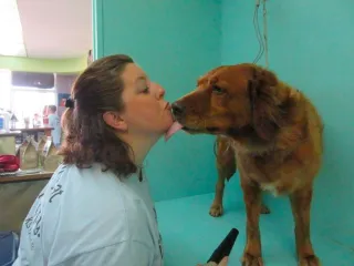 Dog Groomers Kansas City