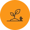 Start small before expanding