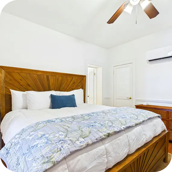 Newly Renovated Aruba Suite