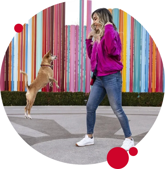 Training That Helps You Enjoy Life With Your Dog