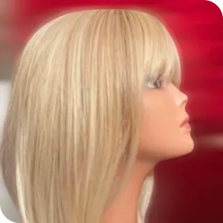 Ultimate Style Wigs and Toppers Studio Wigs