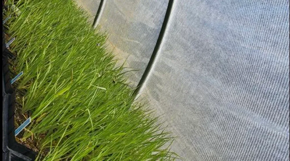 Blog by Marshland Transplant Aquatic Nursery
