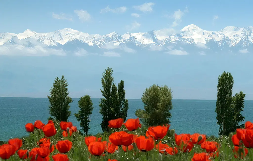 Travelers hiking alpine trails during summer tours in Kyrgyzstan