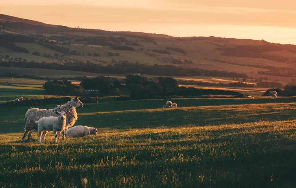 Customized livestock water assessment in Eastern United States 