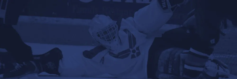 You-re overlooking your goalie!.webp