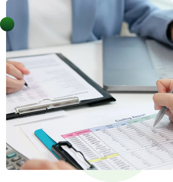 Virtual Bookkeeper in Nevada