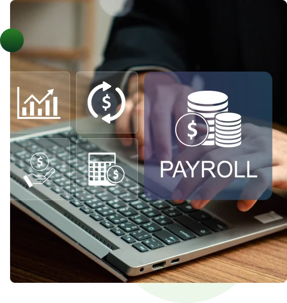 Virtual Bookkeeper in California